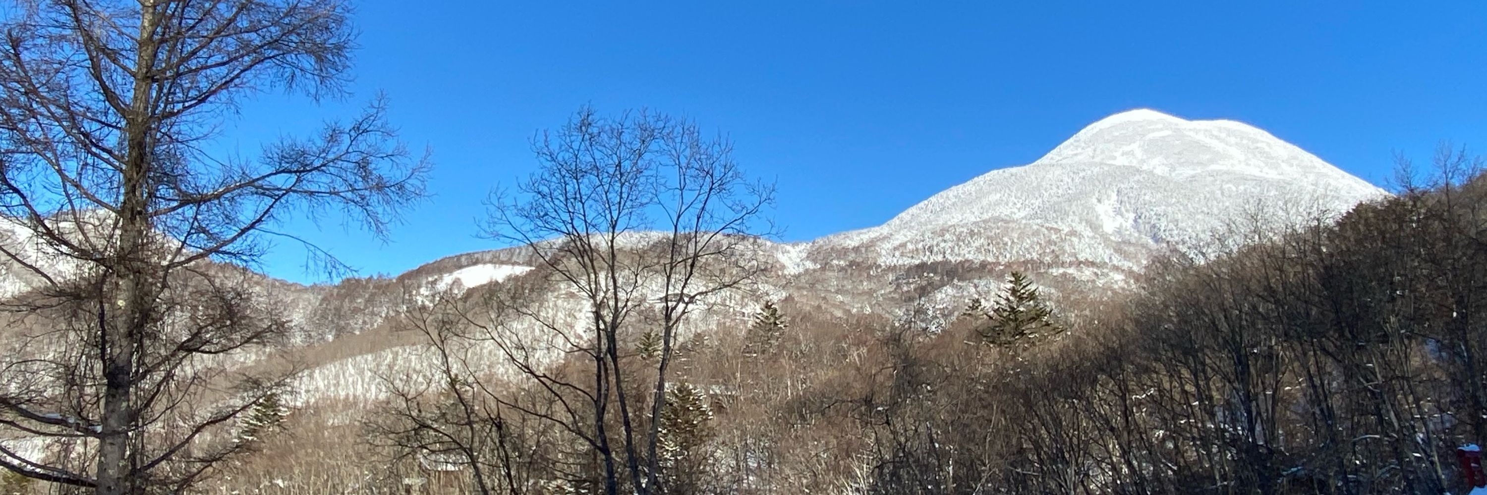 銀野