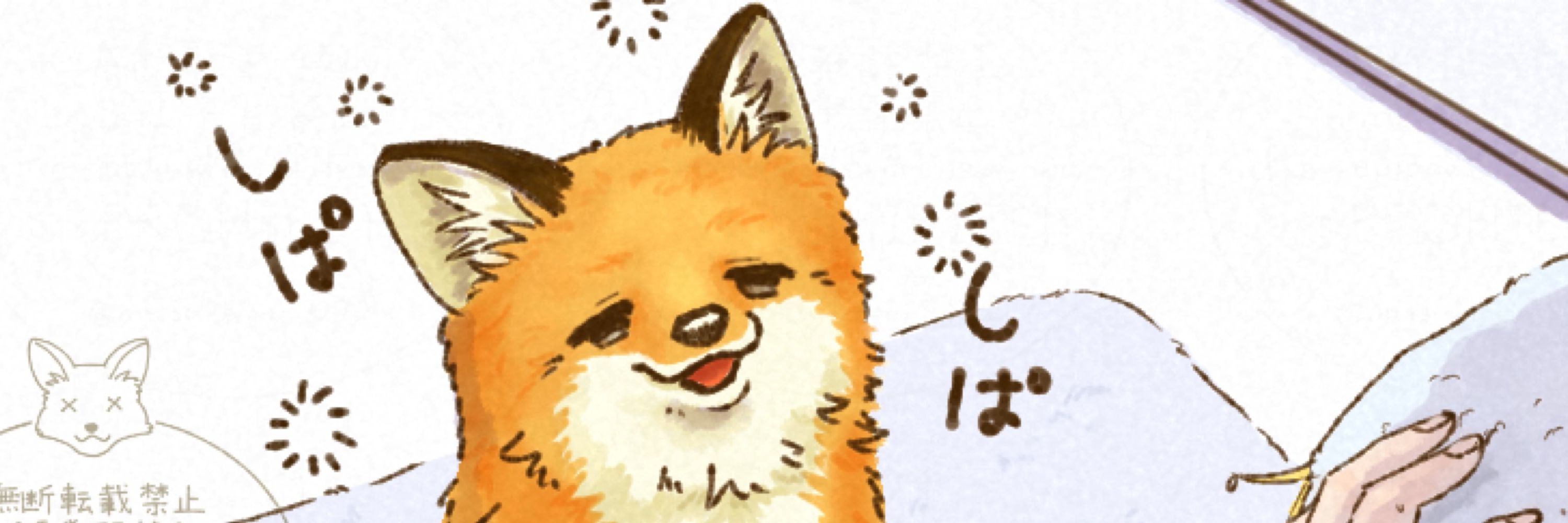 夏朱 優衣  イラストレーター