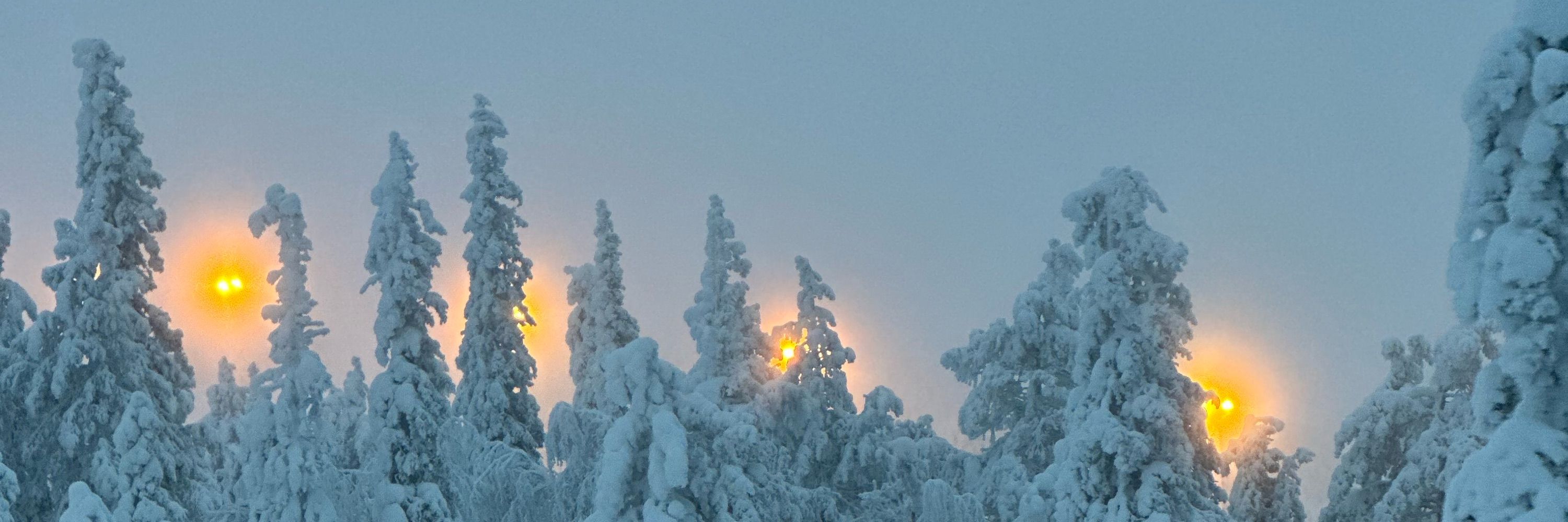 Taru Tujunen