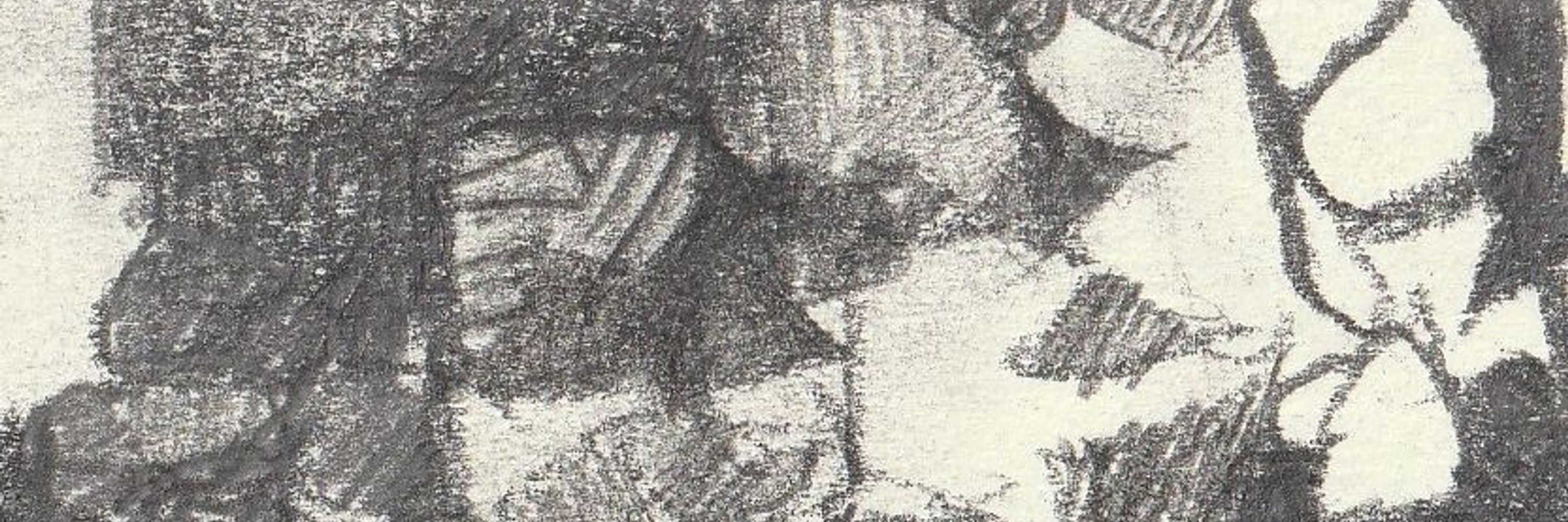 ecoponderosa