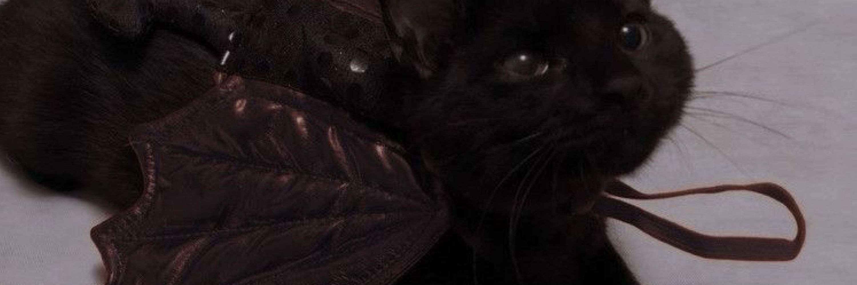 Daughter Vader