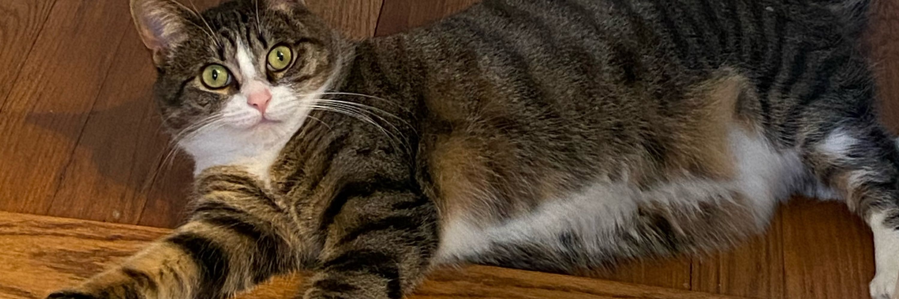 Sara