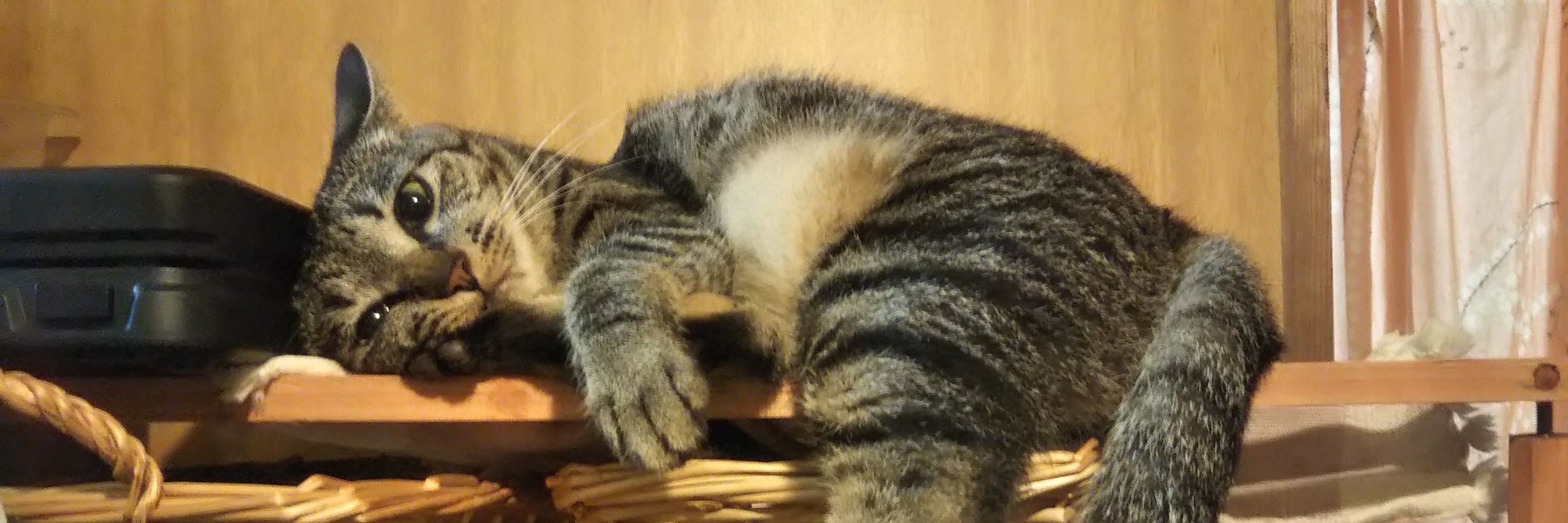 あむあむ