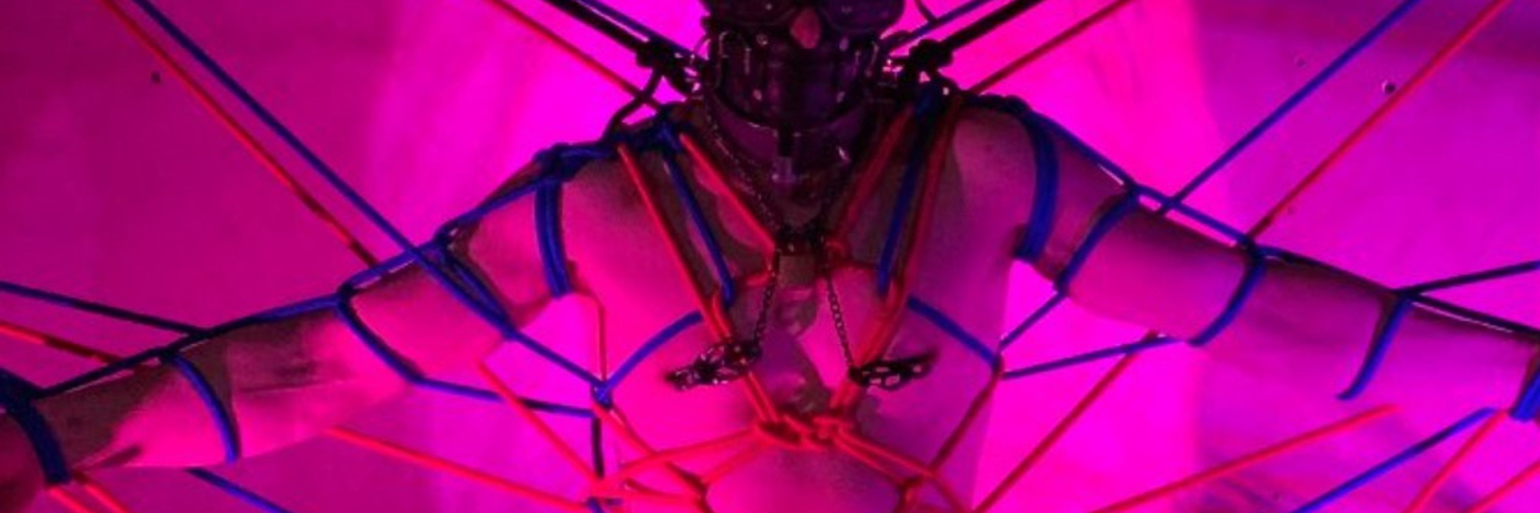 Tyger's slave