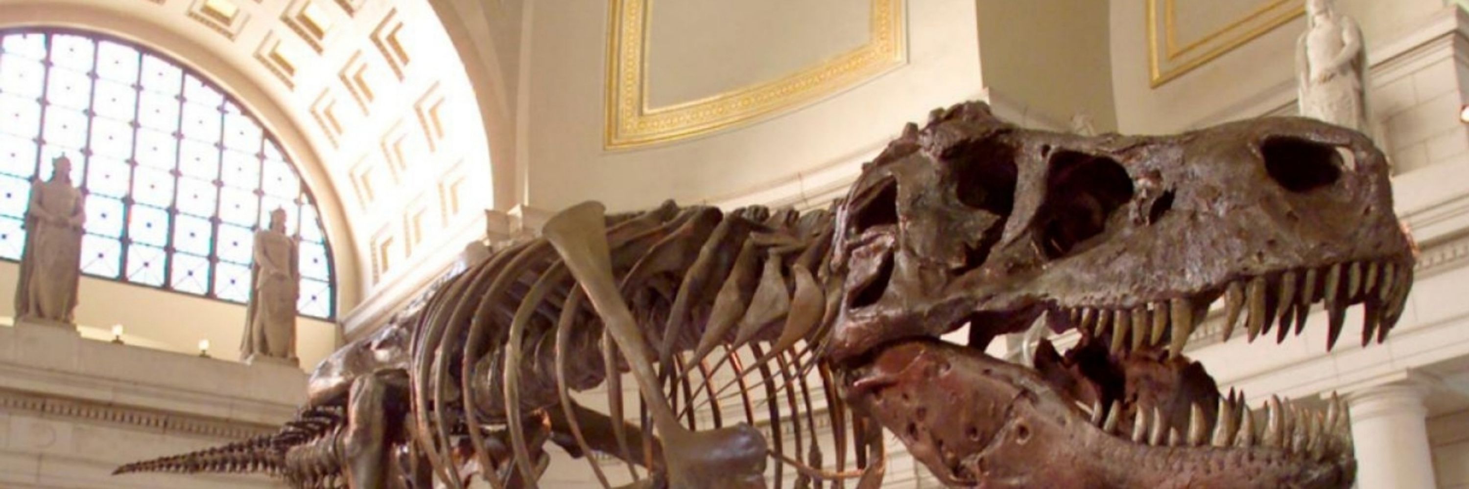 Theropods & Therapy