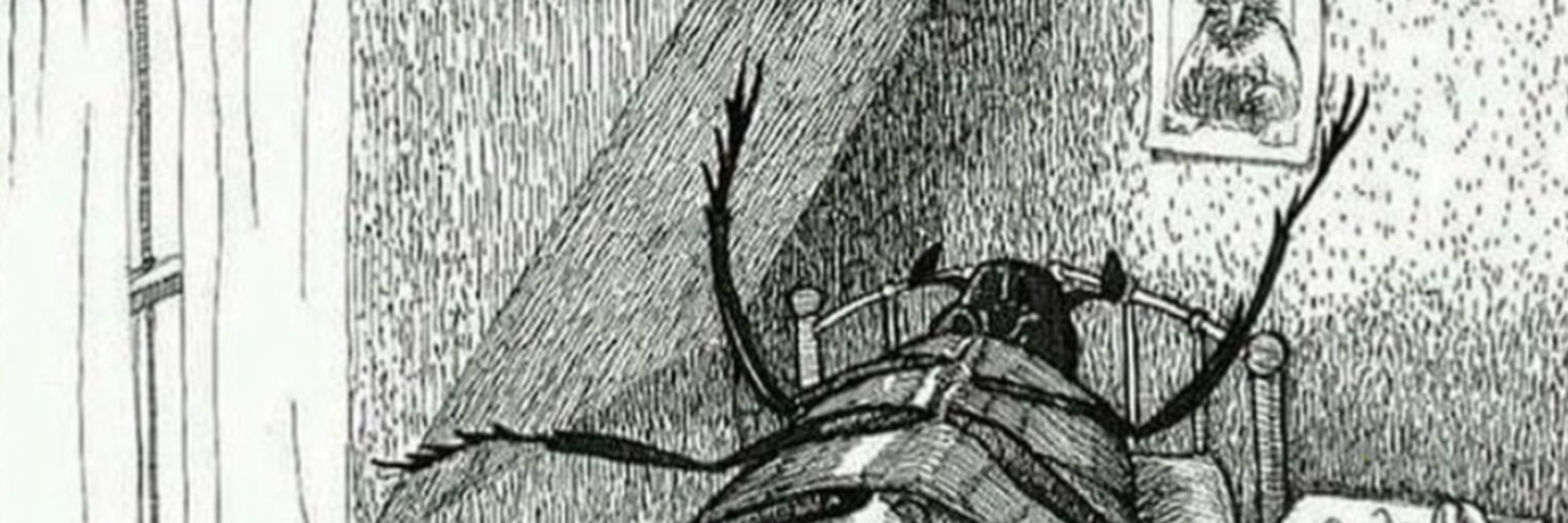 Gregor Samsa
