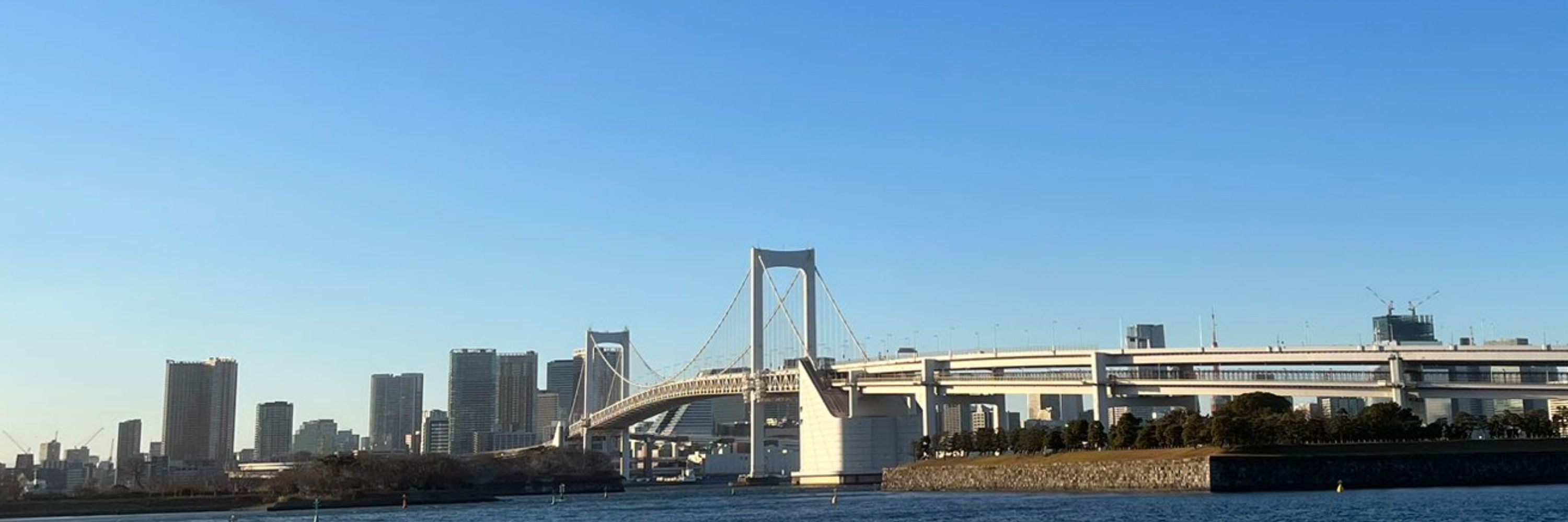ｺｼｮ