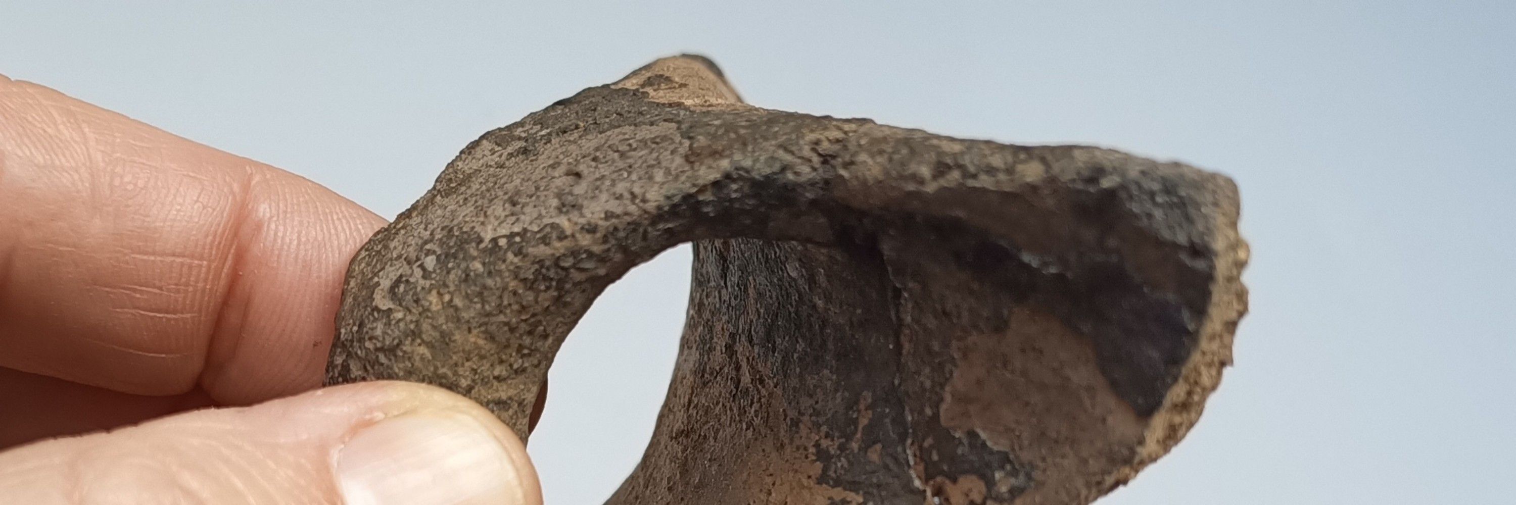 Árbore Arqueoloxía S. Coop. Galega