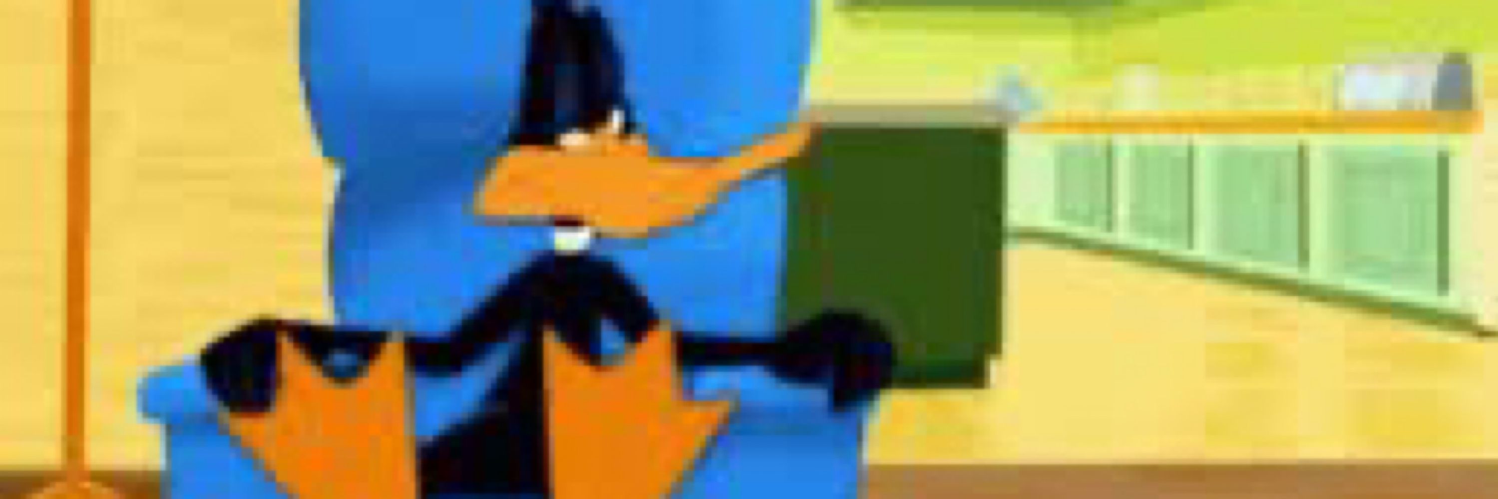 MyLastSoberDuck