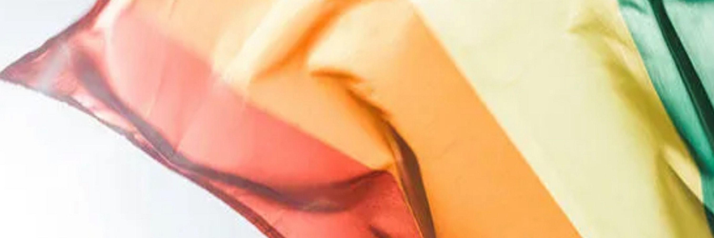 Centre for Transforming Sexuality and Gender