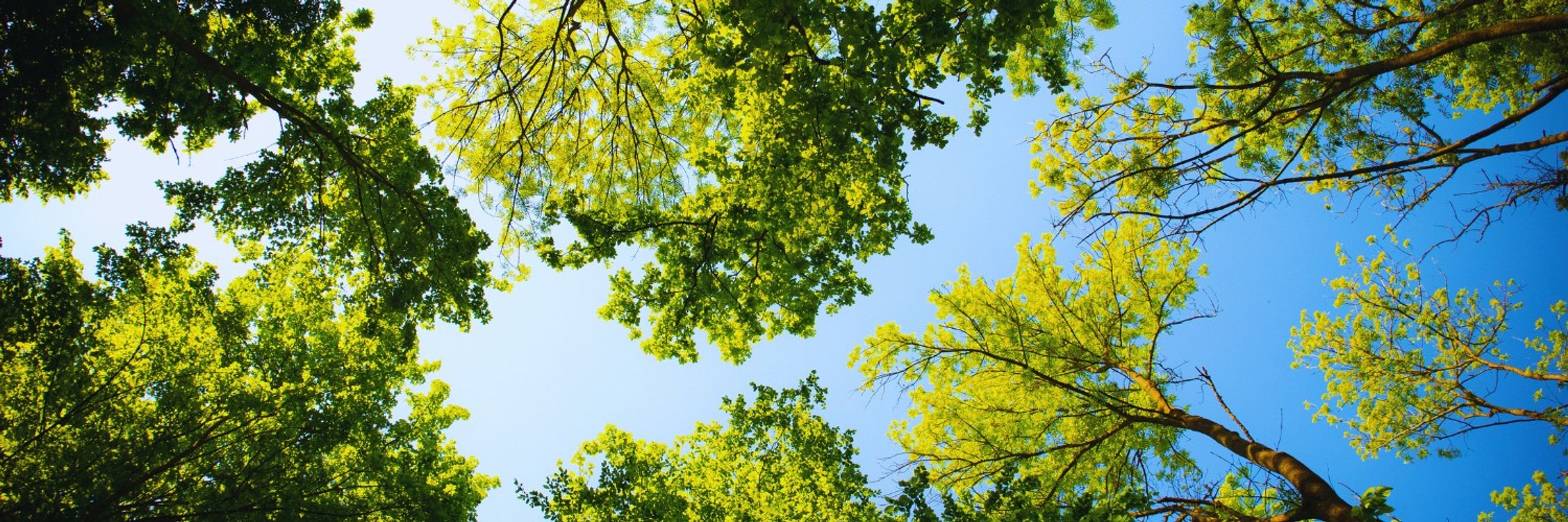 UN Environment Programme