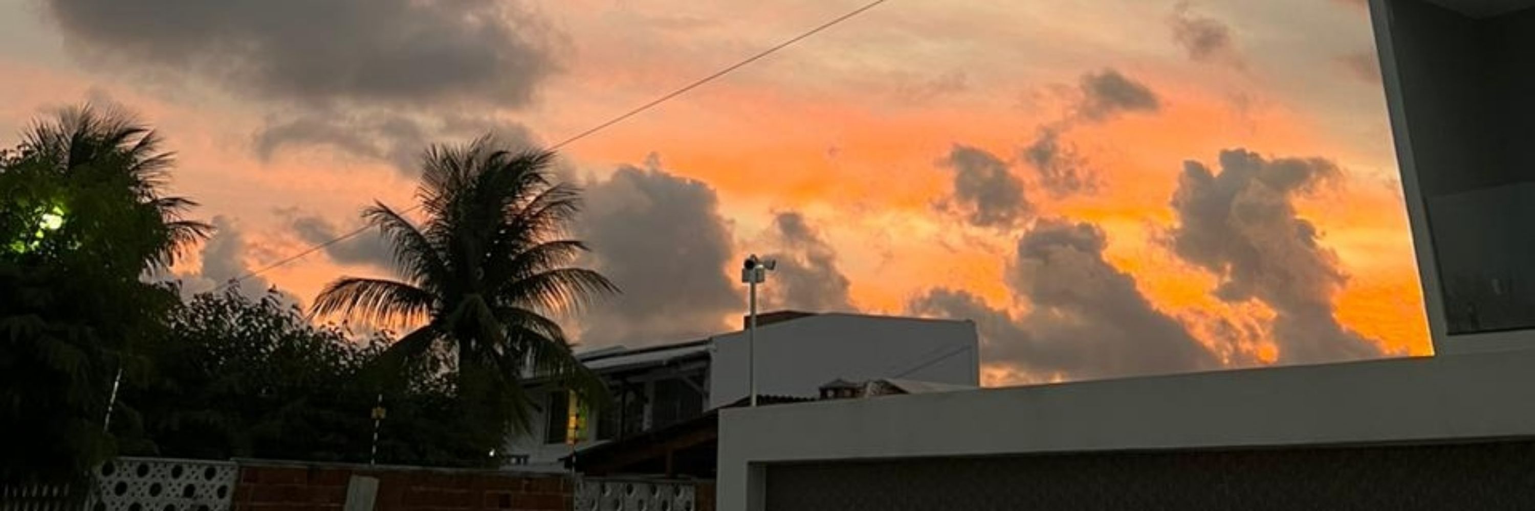 Clarice Beatriz 