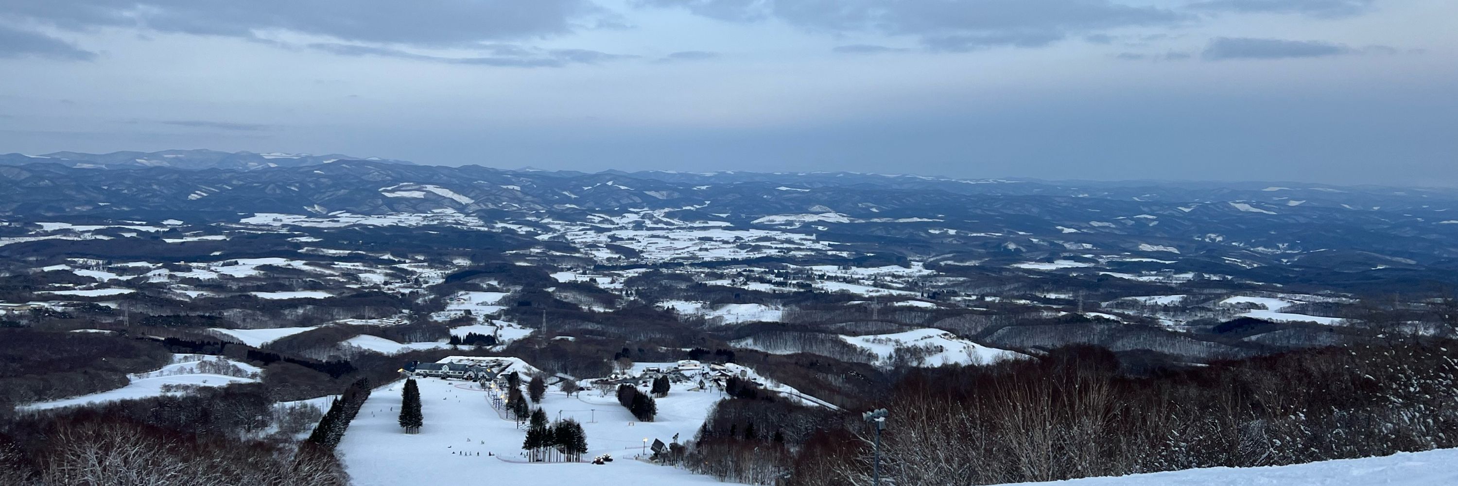 和泉塚のら