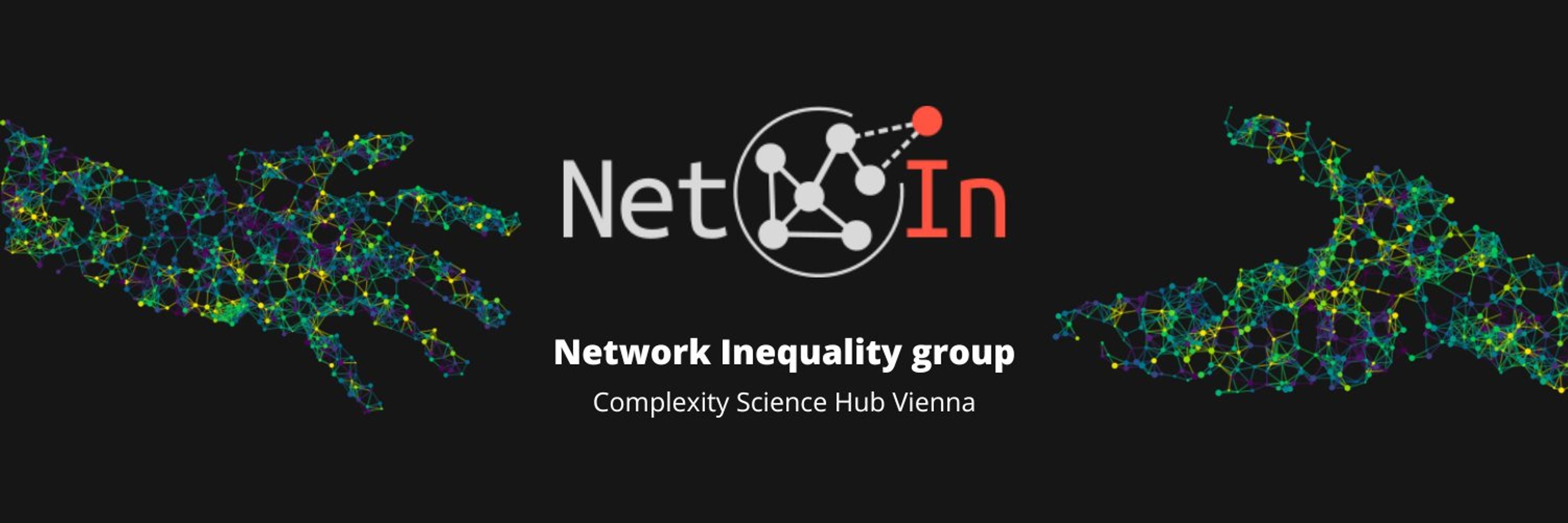 Network Inequality
