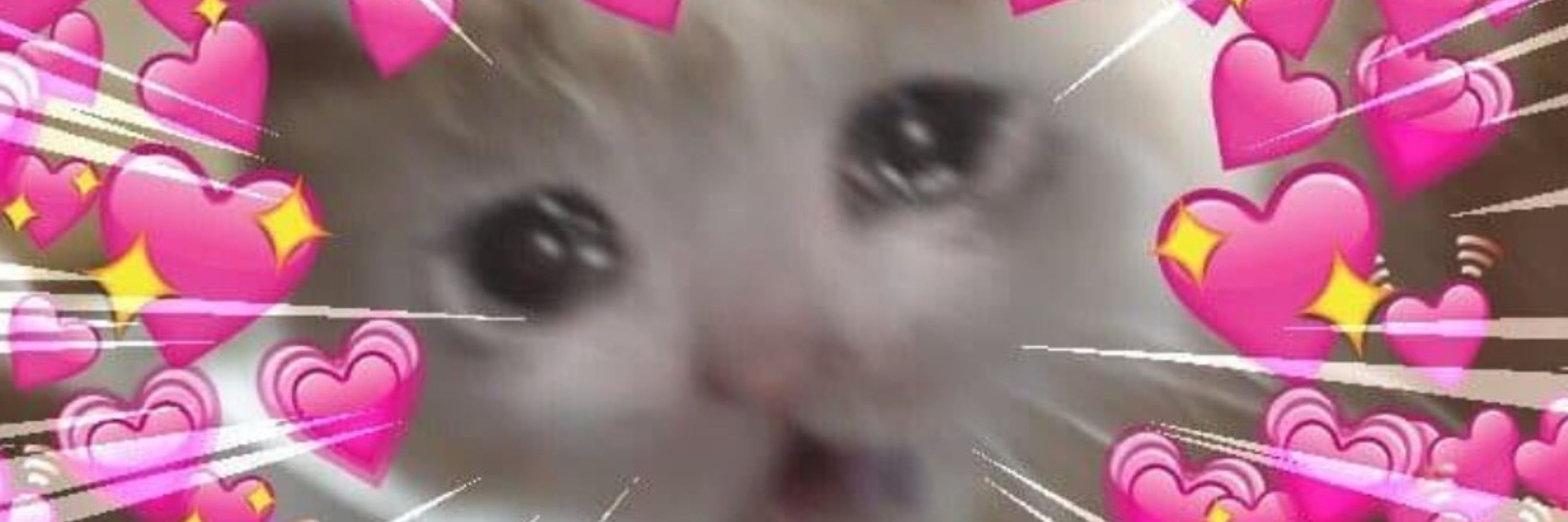 chumb0ii