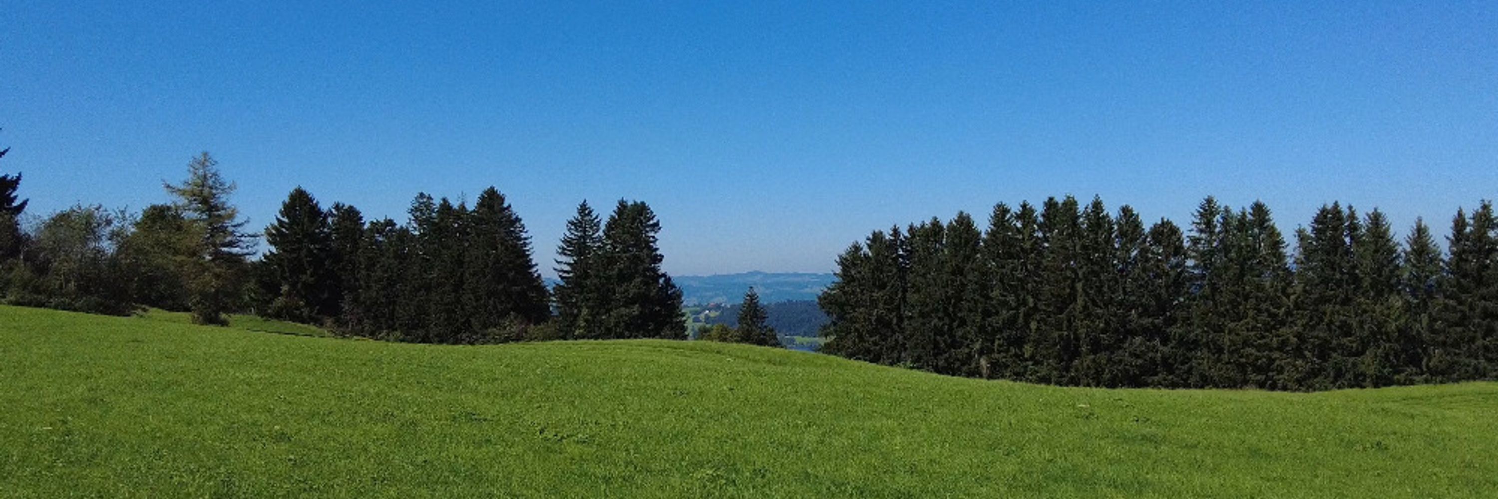 Die Hörmupfel
