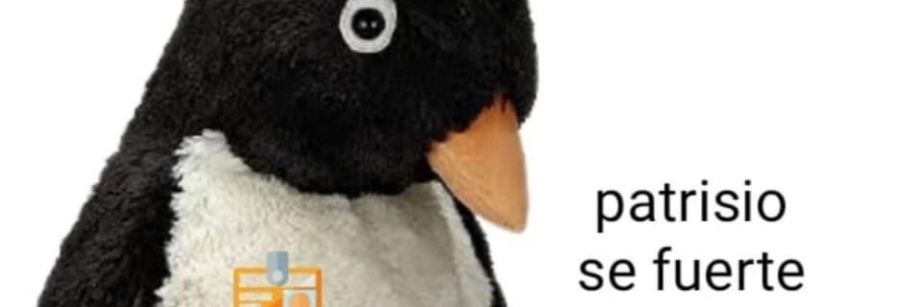 Pâmela AH É
