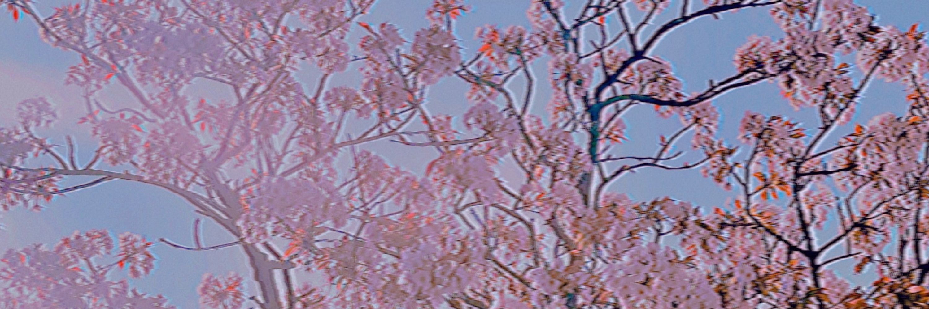 𝙣𝙪