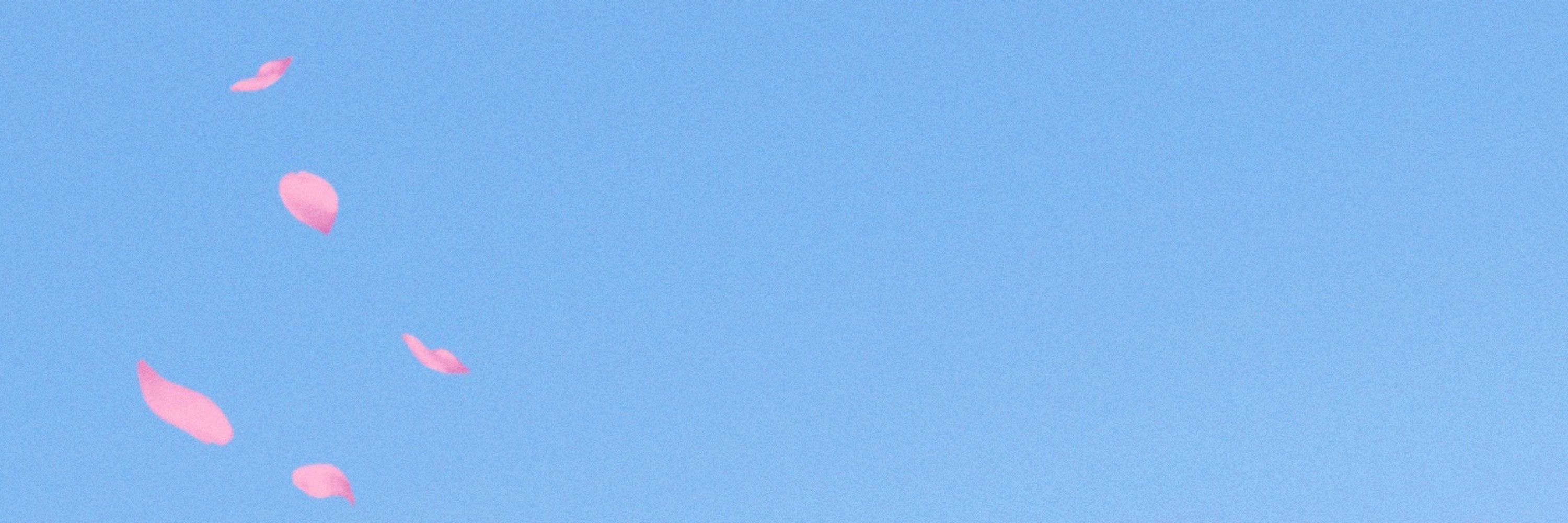 曙