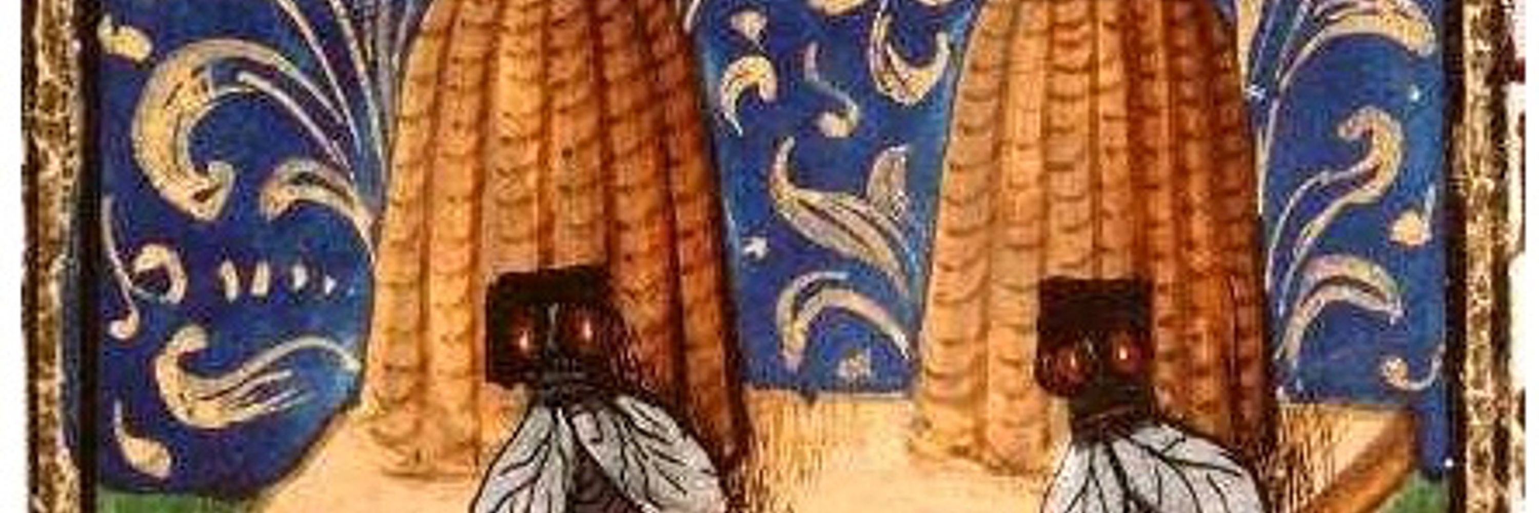 Carith de Cuevas