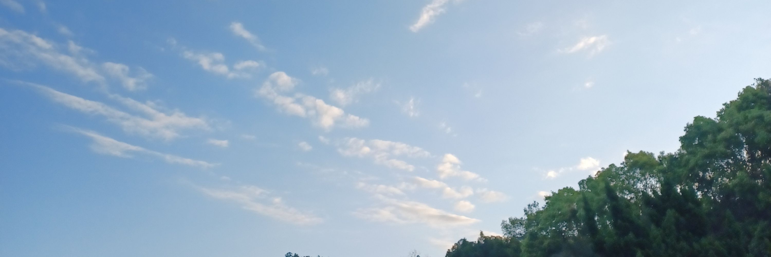 落妍/Yr