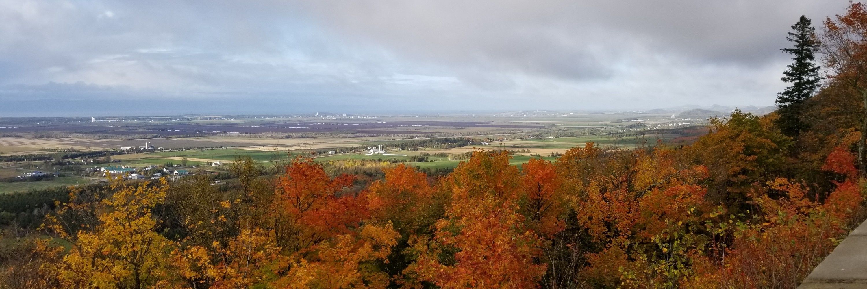 Samuel Saint-Denis-Lisée 