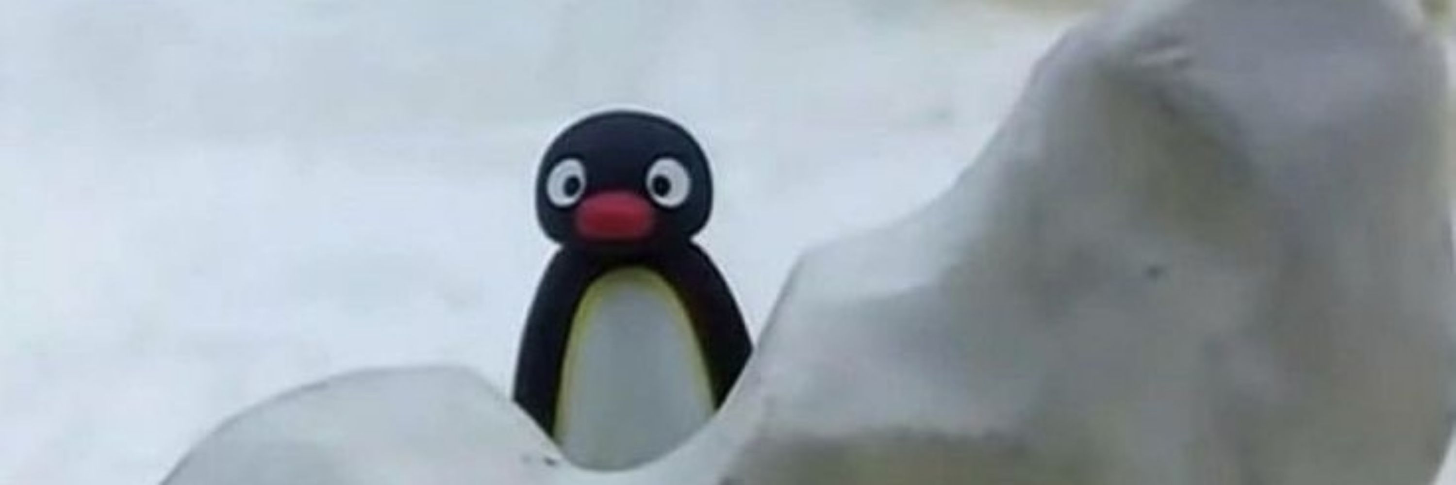 pingüinha misshitsu da silva