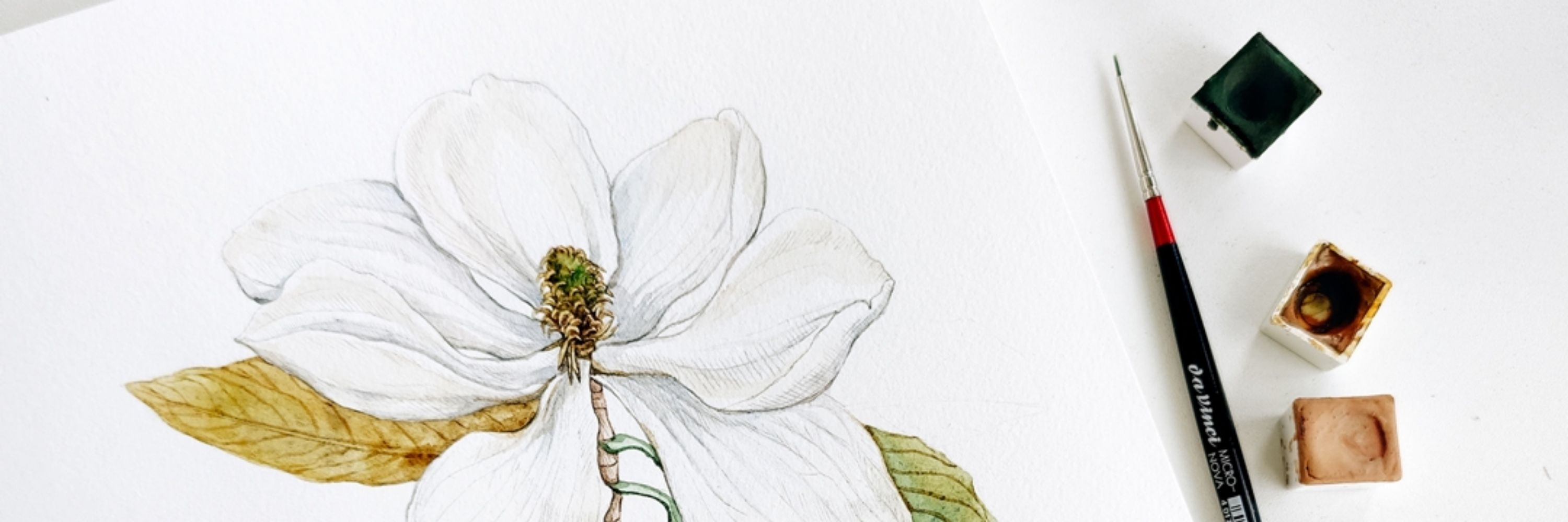 Anna Farba Illustration