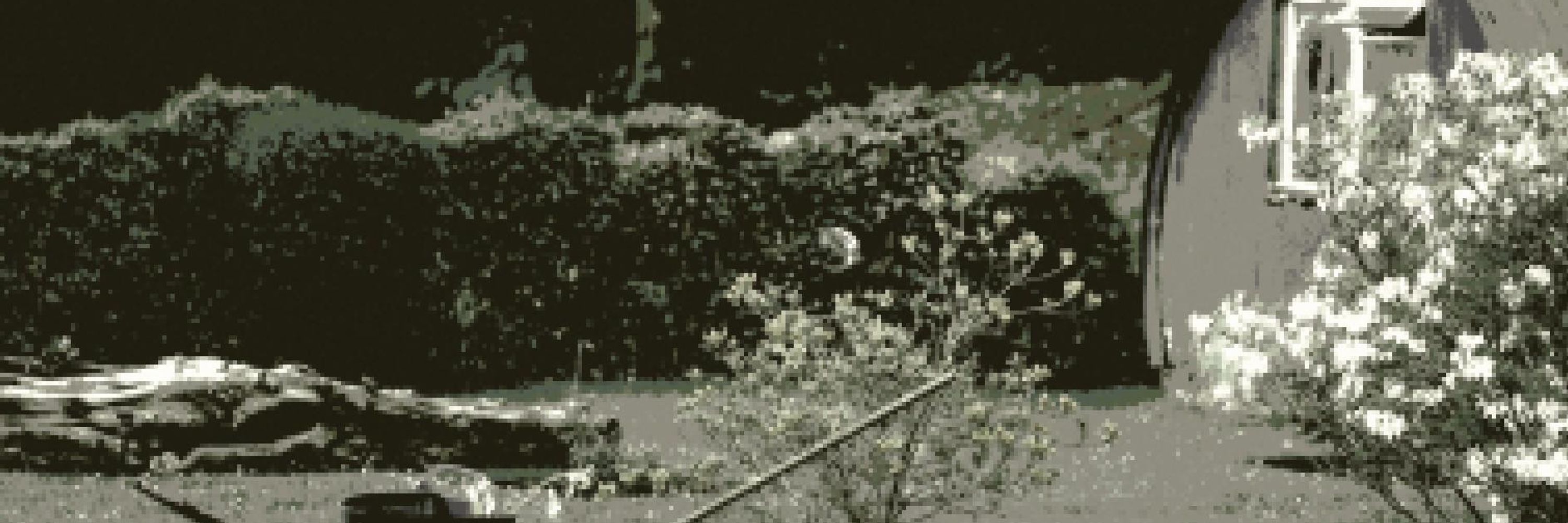 bugwatcher