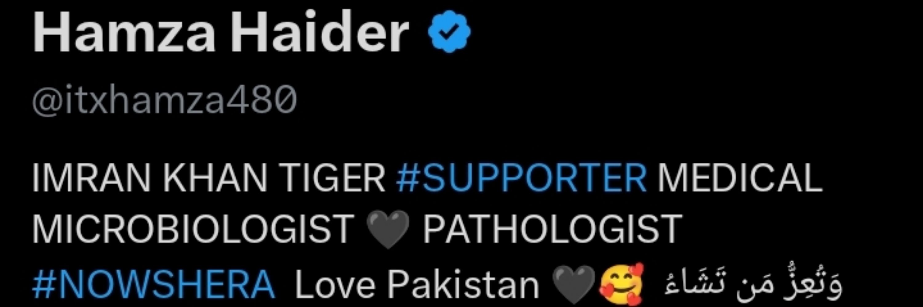 HAMZA HAIDER