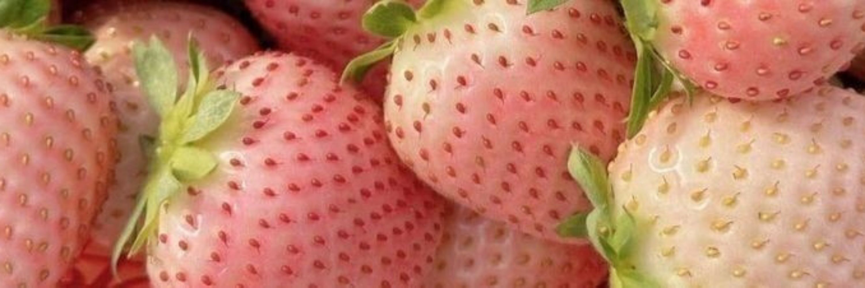 Makki🍓