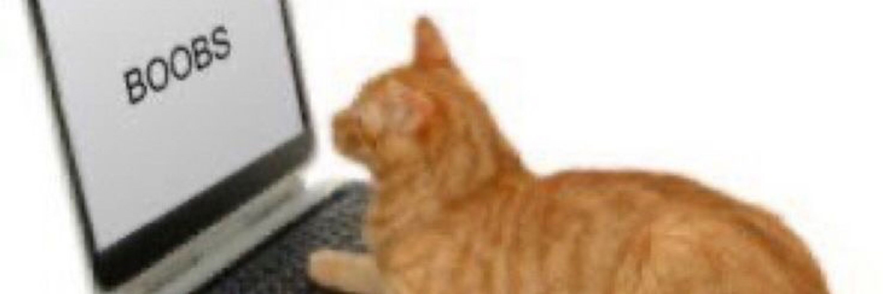 sasah ⁷ do yoongi