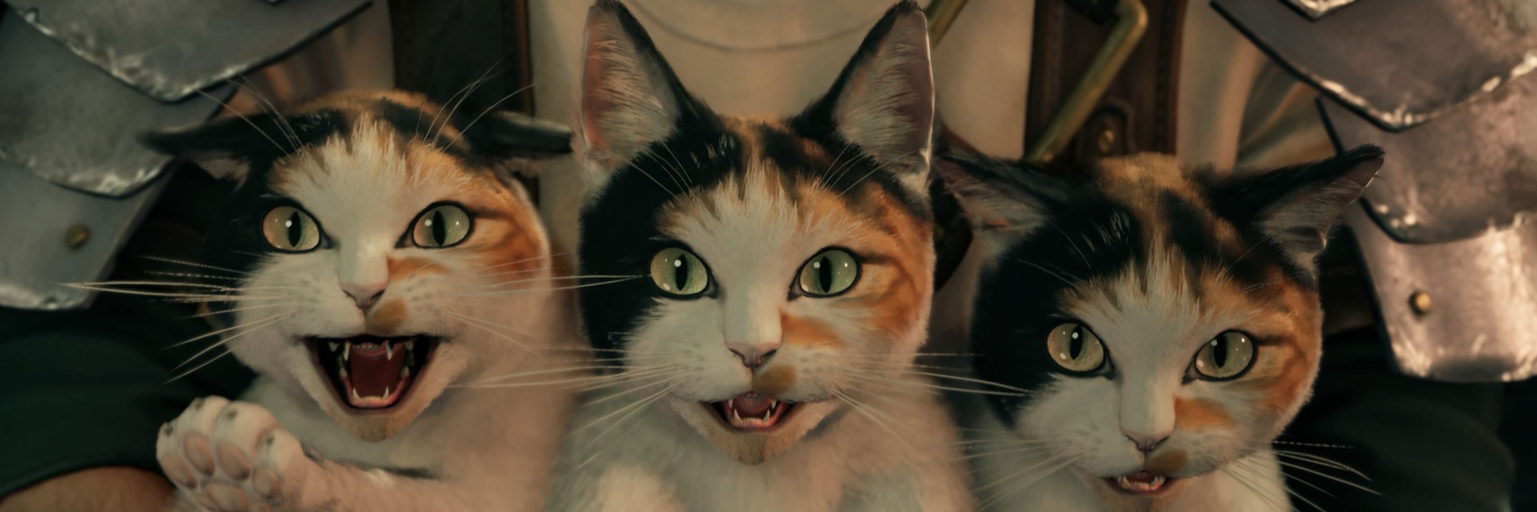 じぇらねこ