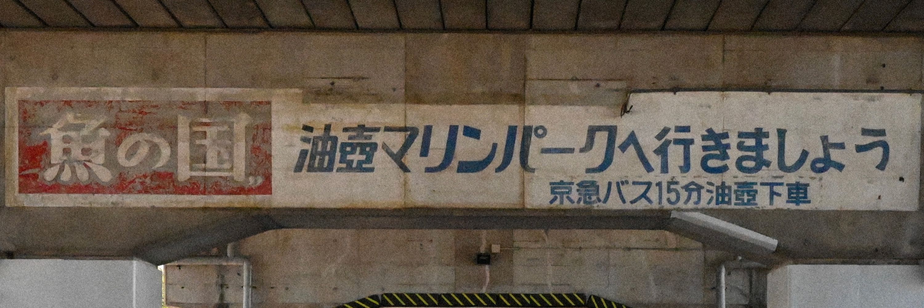 海椰子