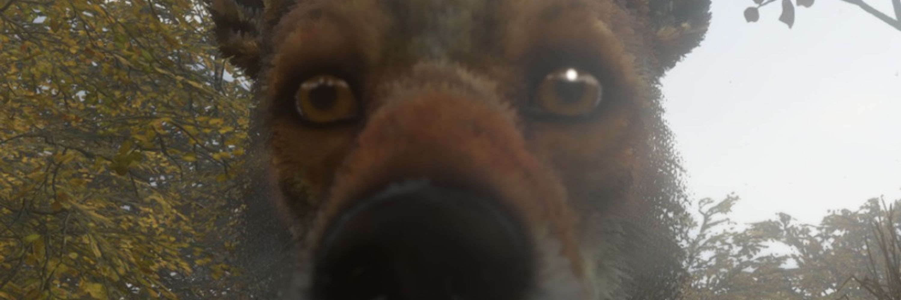 otilla
