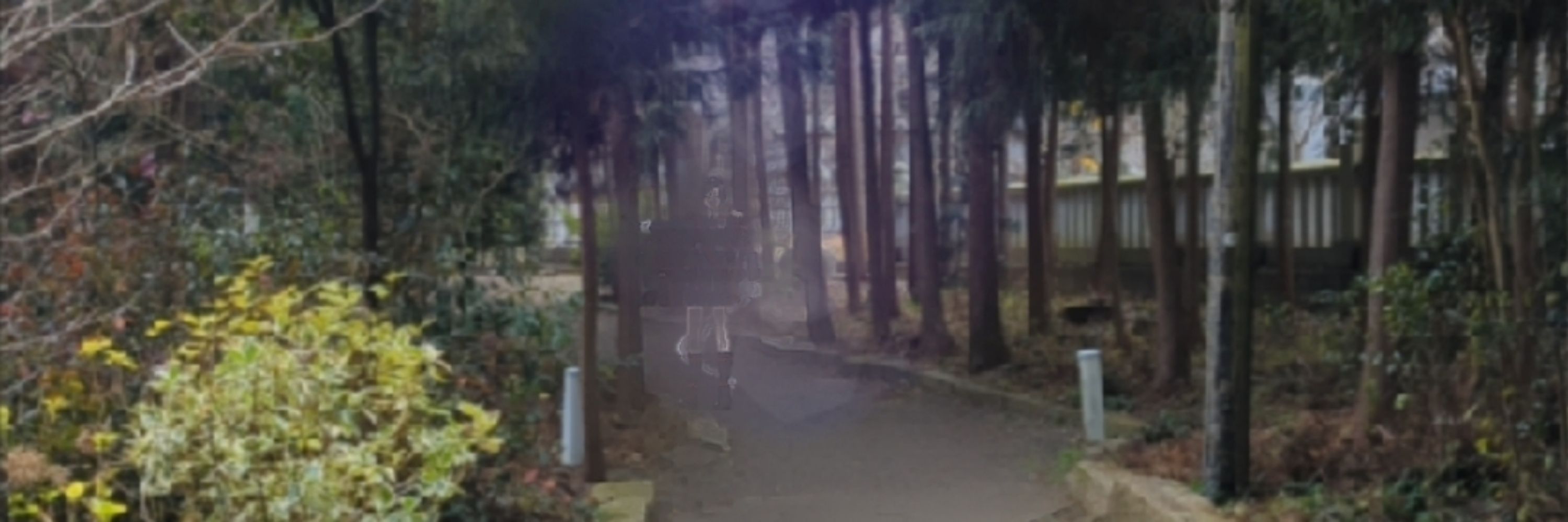 惺祷音