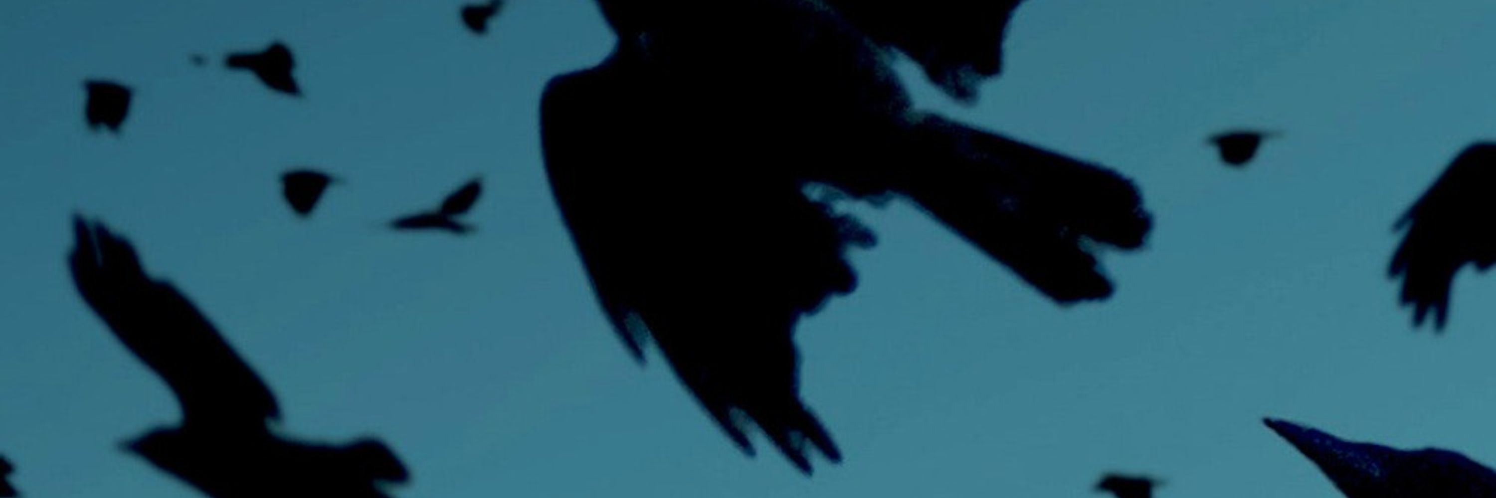 𝙹𝚞𝚕𝚒𝚎𝚗 𝙼𝚘𝚛𝚐𝚊𝚗 #FixYourHeartsOrDie