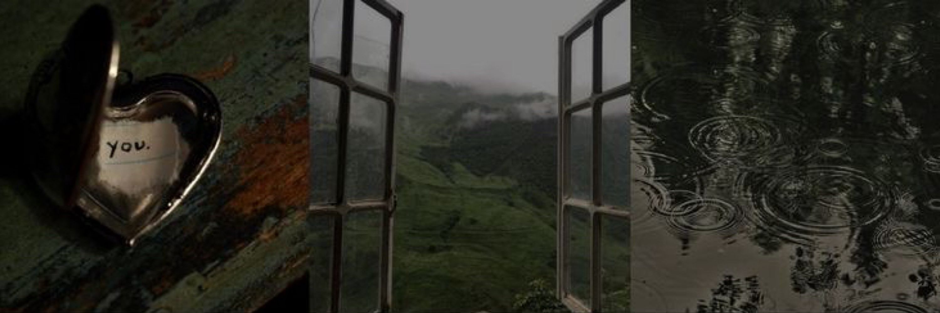 𝗏𝗂𝗍𝗍𝗌 | .• 🌲