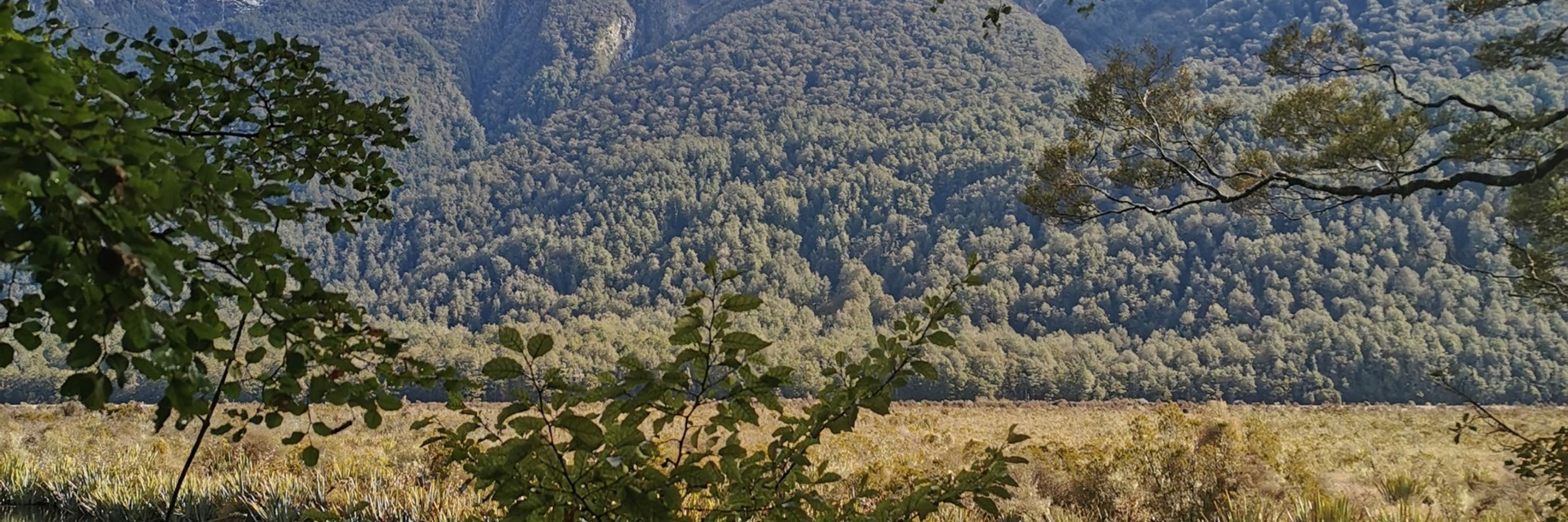Alba Viana-Soto