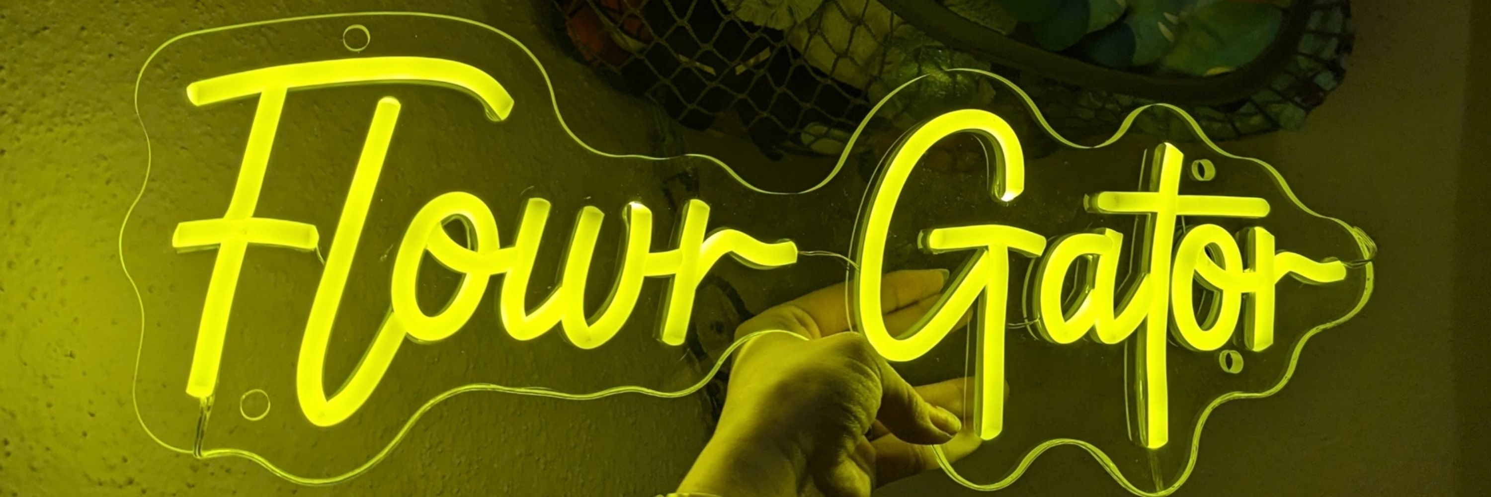 Flowr Gator/Los Últimos