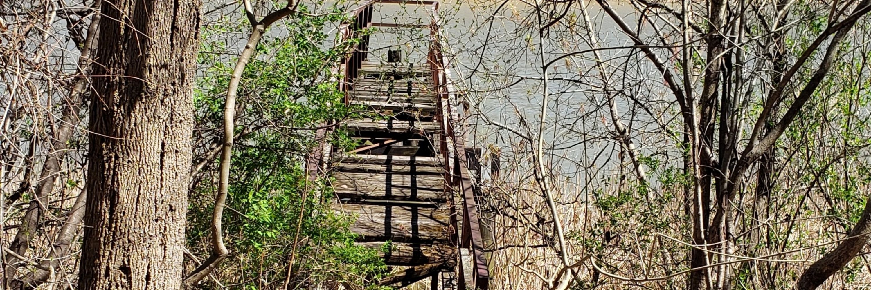Trilling Lake Burb