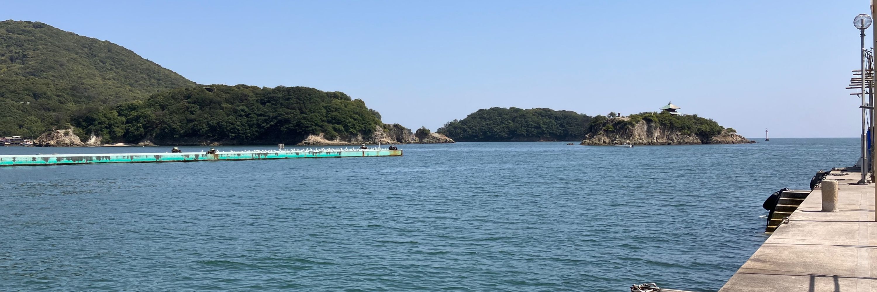 瀧本羊子