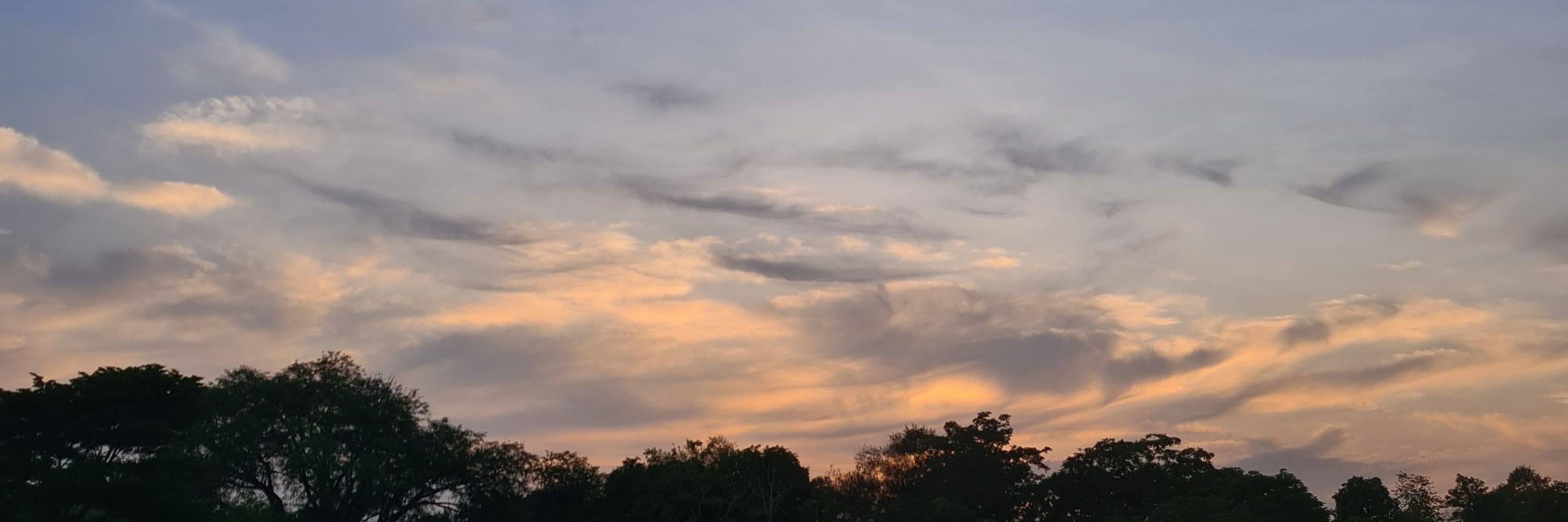 Mn