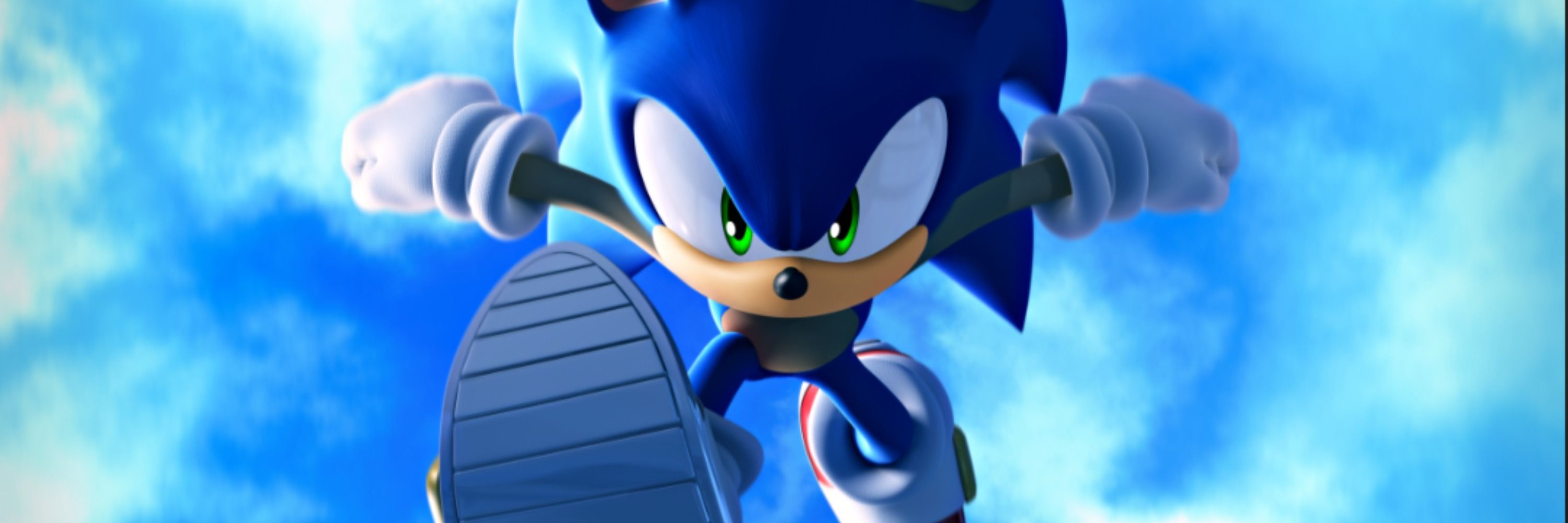 Sonic the hedgehog!