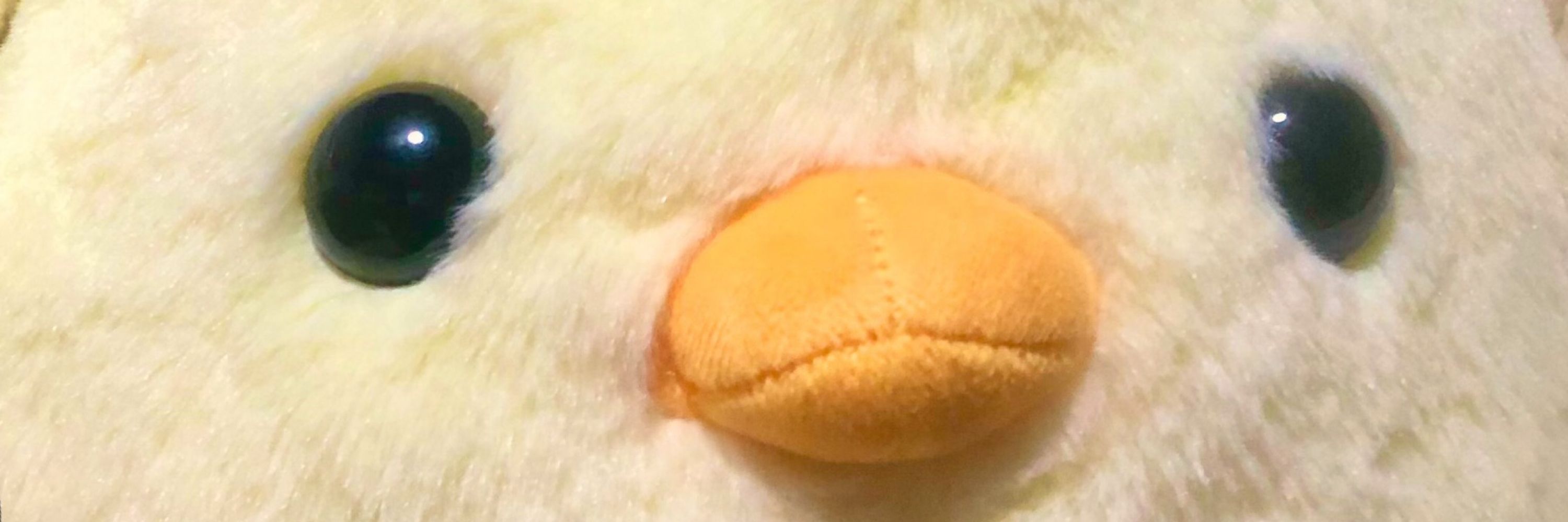 こーんぴざ