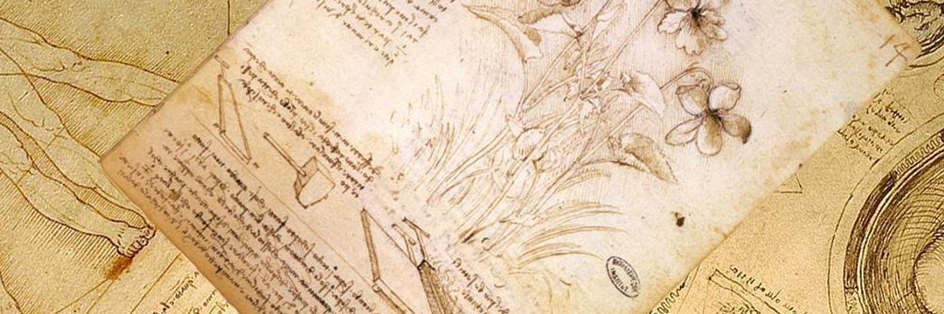 Renaissance Society of America