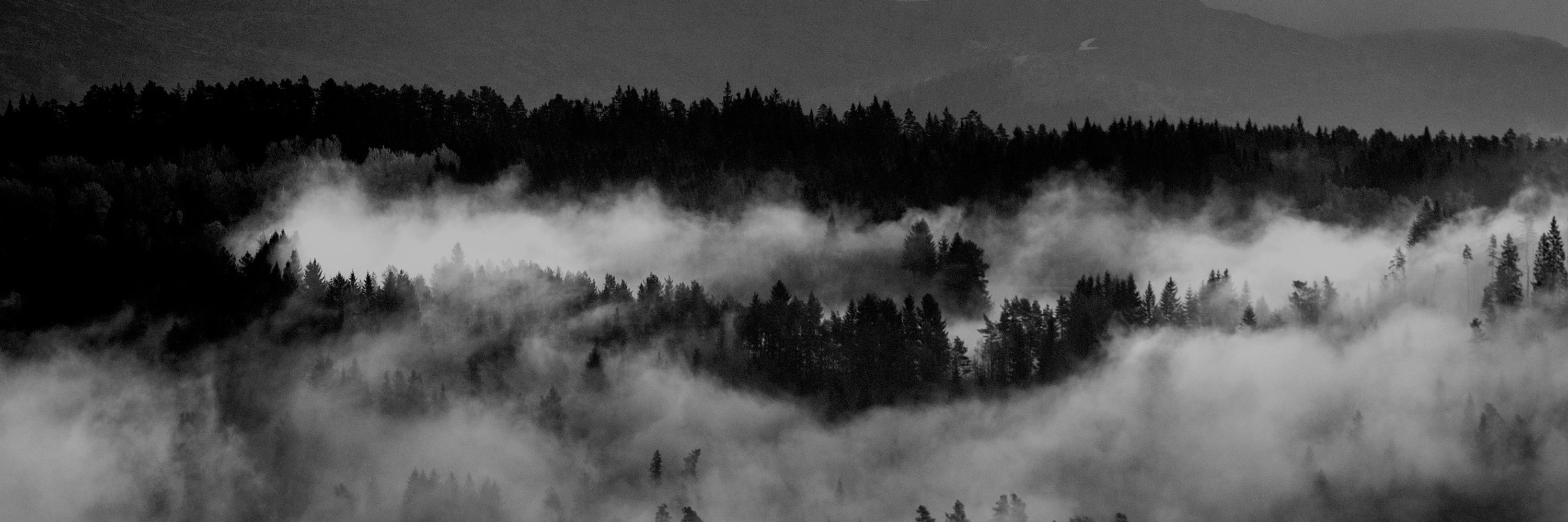 CloudGhost