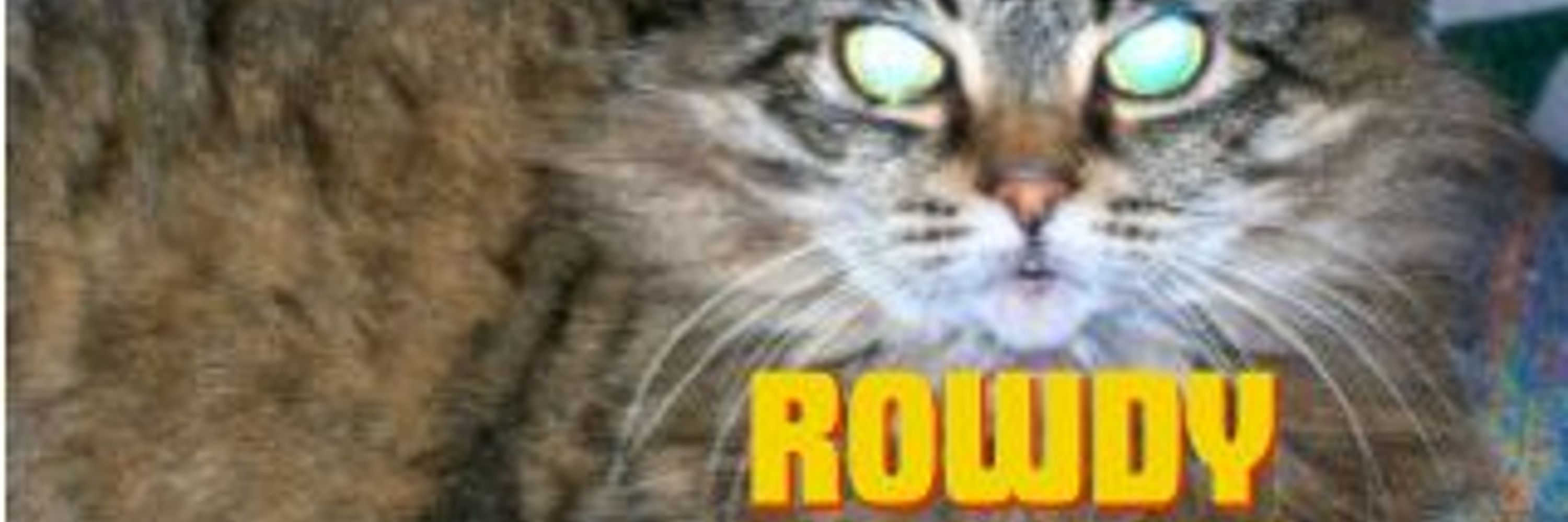 Rowdy Productions