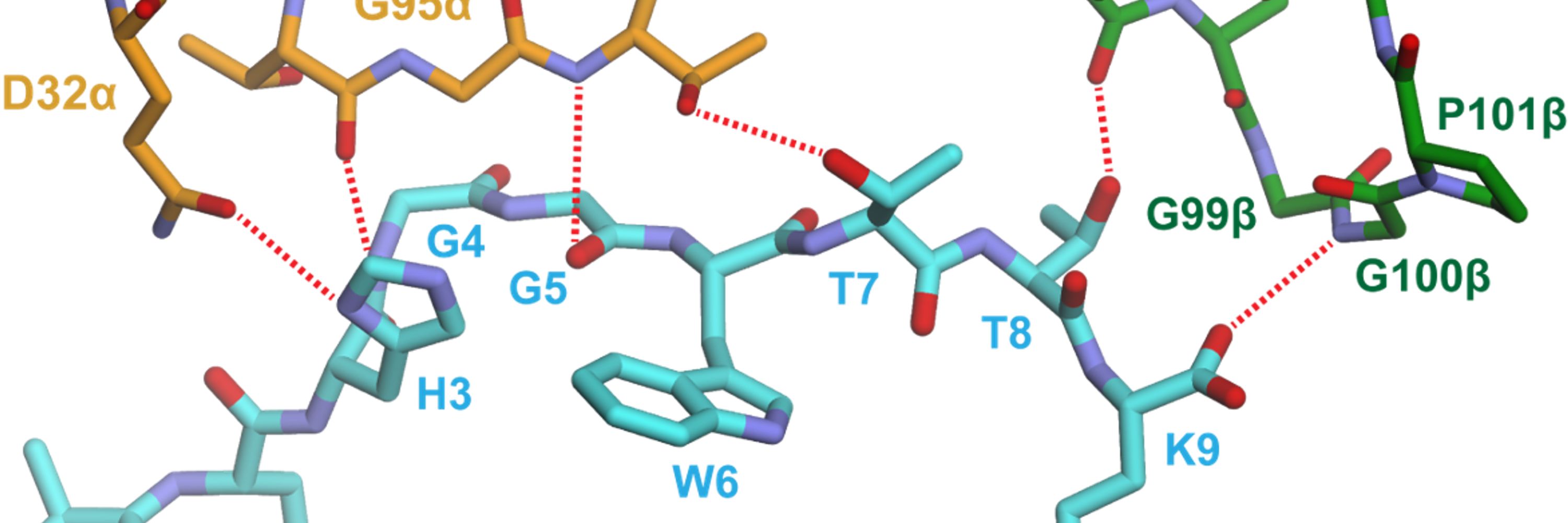 Klebanoff Lab