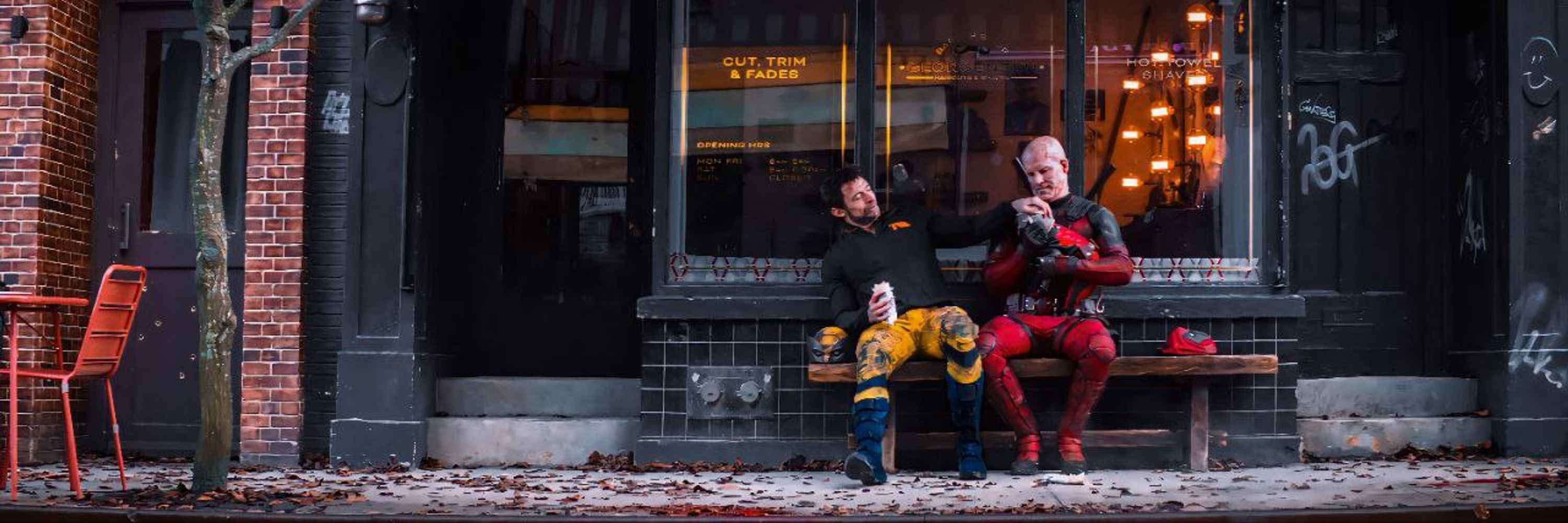 ⬇️ trans wolvie truther 🥃